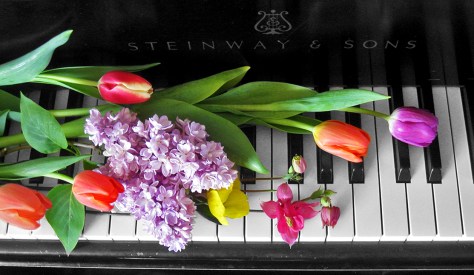 piano-flowers